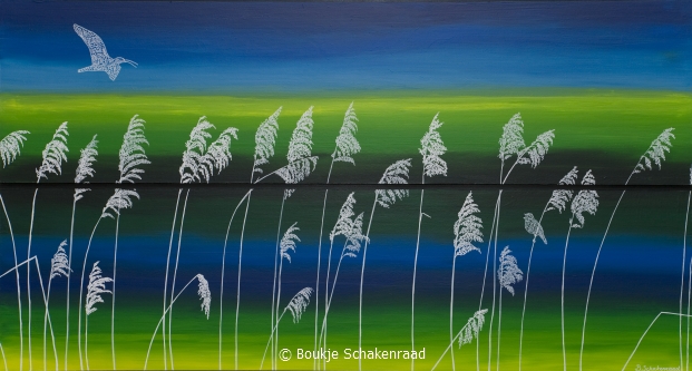 Riet - kunst van B. Schakenraad